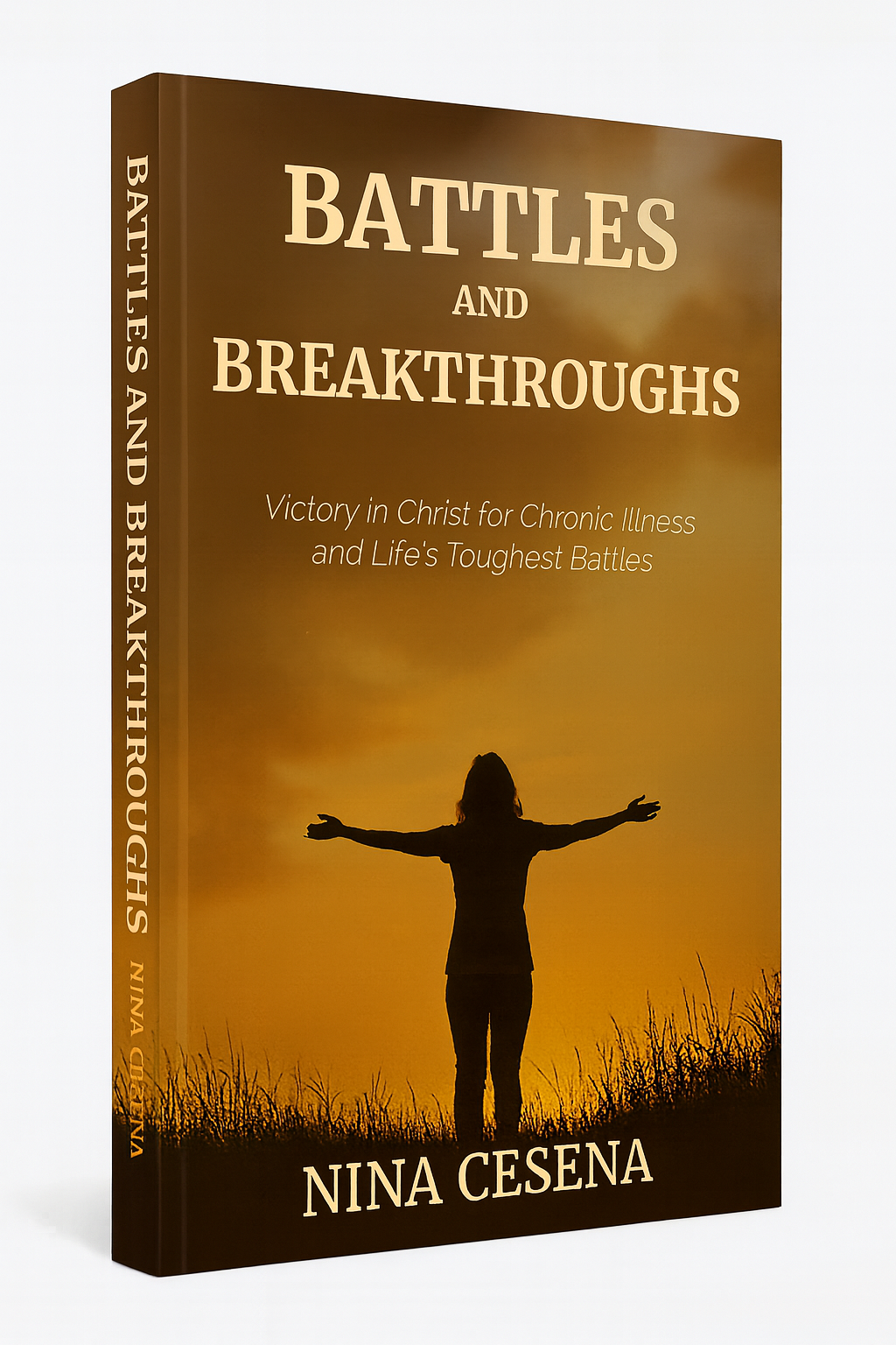 Battles and Breakthroughs 3D cover